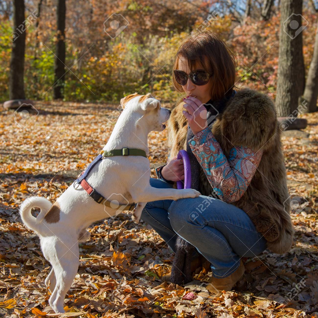files/ragazza_cane_1_ae83334d-67f1-4eb9-801e-e6fbe999e6c6.jpg